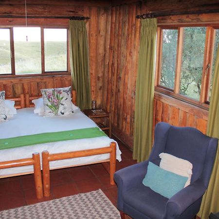 Greenfire Drakensberg Lodge Bonjaneni Habitación foto