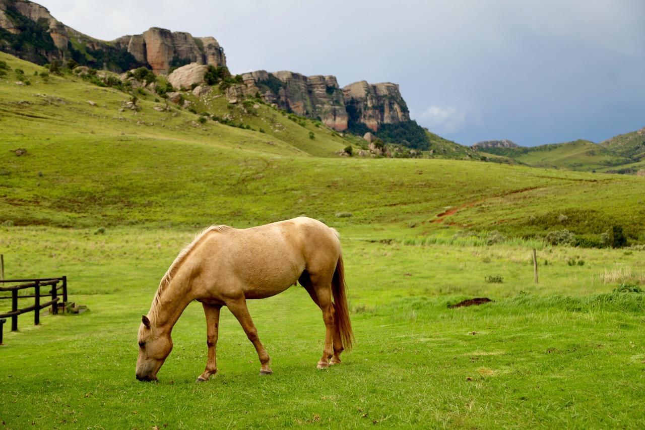 Greenfire Drakensberg Lodge Bonjaneni Exterior foto