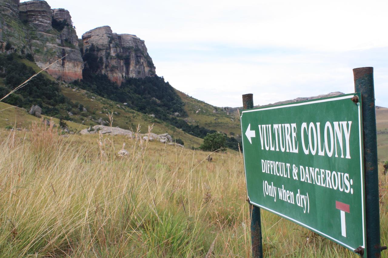 Greenfire Drakensberg Lodge Bonjaneni Exterior foto